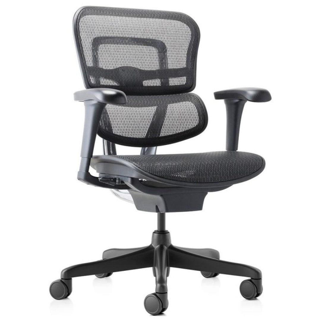 ERGOHUMAN PROJECT MEDIUM BACK CHAIR