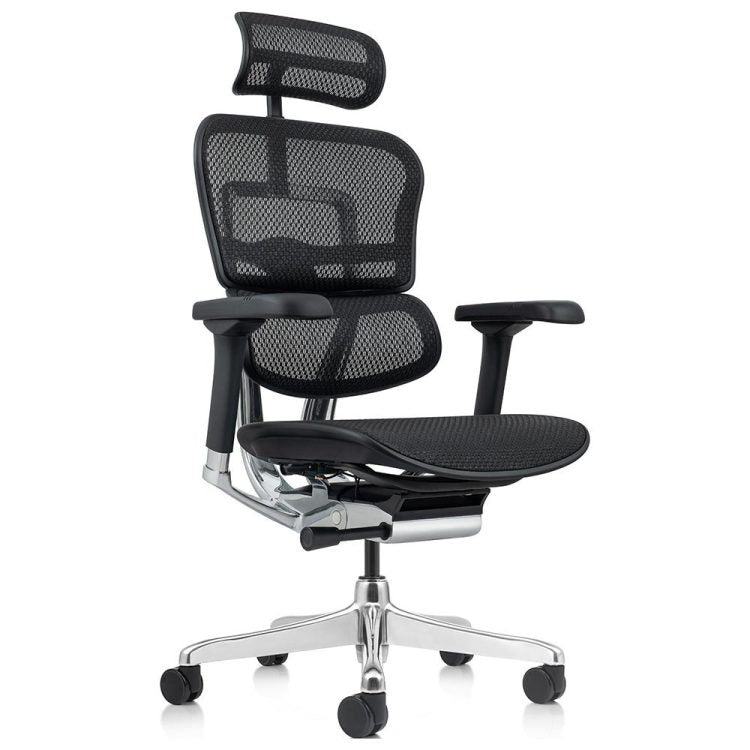 ERGOHUMAN ELITE 2 HIGH BACK MESH CHAIR