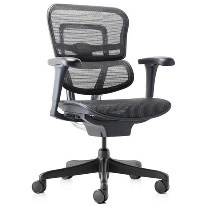 ERGOHUMAN PROJECT MEDIUM BACK CHAIR