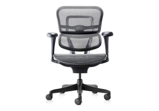ERGOHUMAN PROJECT MEDIUM BACK CHAIR