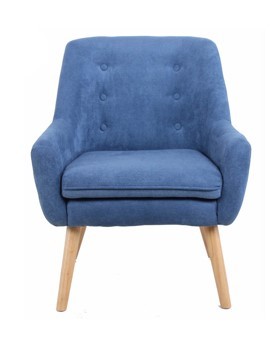 Superstore best sale velvet chair